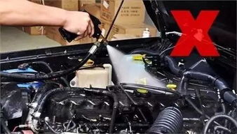 夏季用車 發(fā)動機(jī)艙保養(yǎng)了嗎