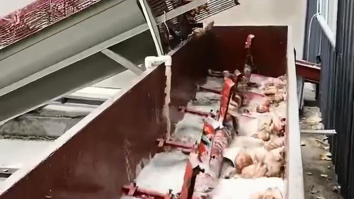 自動(dòng)化紅薯淀粉生產(chǎn)線清洗工段,漿葉式清洗機(jī),清洗力度大裂縫也清洗徹底