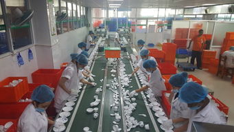 省電飯?zhí)孟赐霗C(jī)尺寸