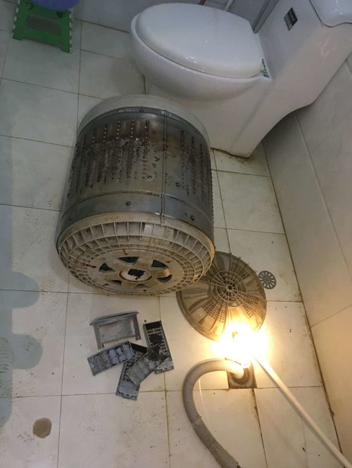 專業(yè)全屋 全套日常 開(kāi)荒 保潔 家電清洗